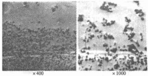 Fig. 3 　SEM image at the bond of two materials